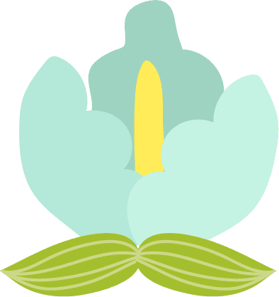 台灣高雄裝飾花